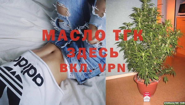мдпв Богородицк