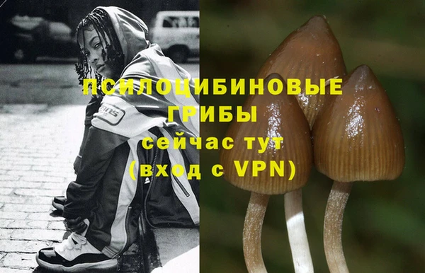 мдпв Богородицк