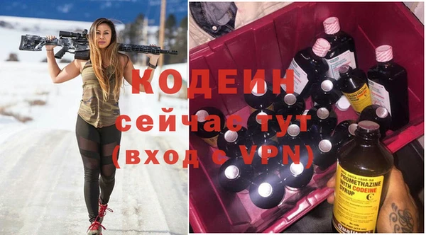 мдпв Богородицк