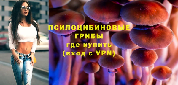 мдпв Богородицк