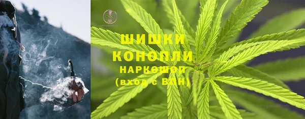 мдпв Богородицк
