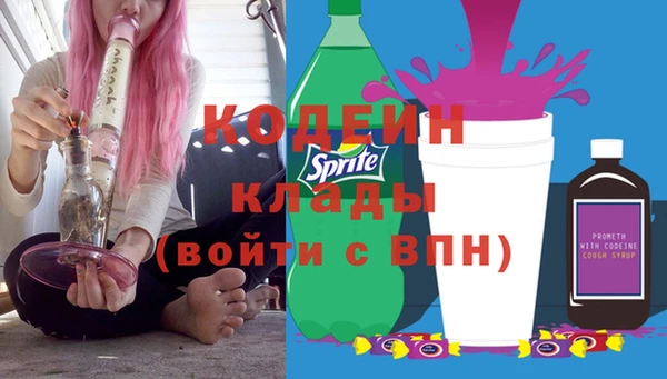 мдпв Богородицк