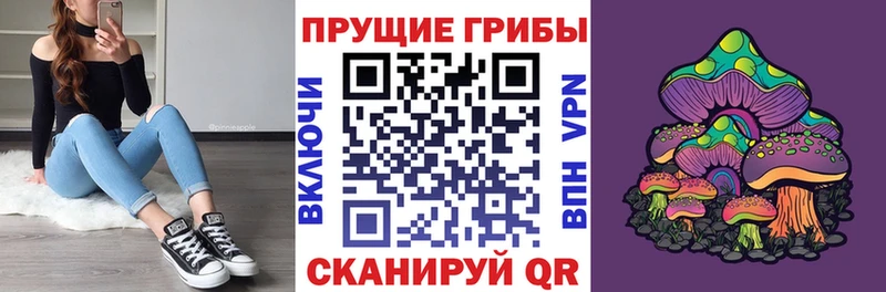 Галлюциногенные грибы мицелий  kraken ССЫЛКА  Волгореченск 